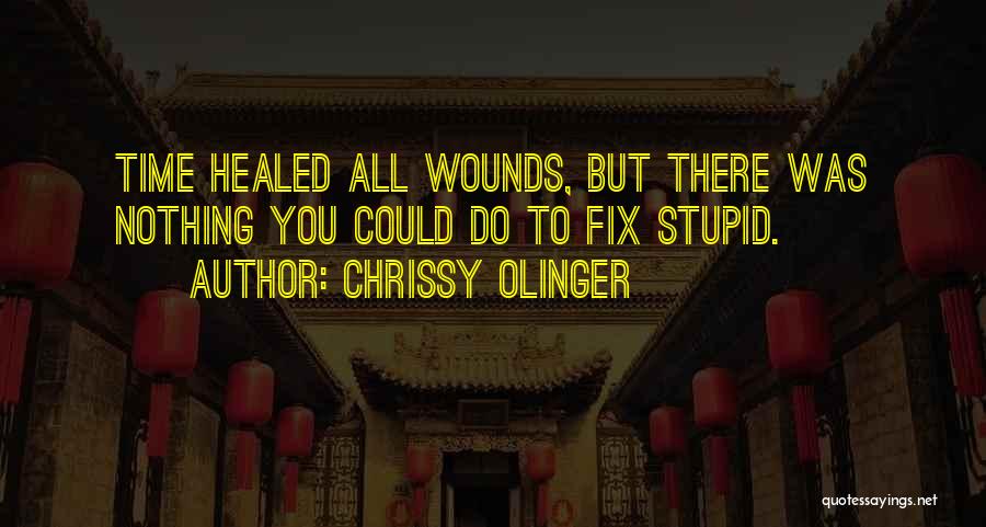 Can't Fix Stupid Quotes By Chrissy Olinger