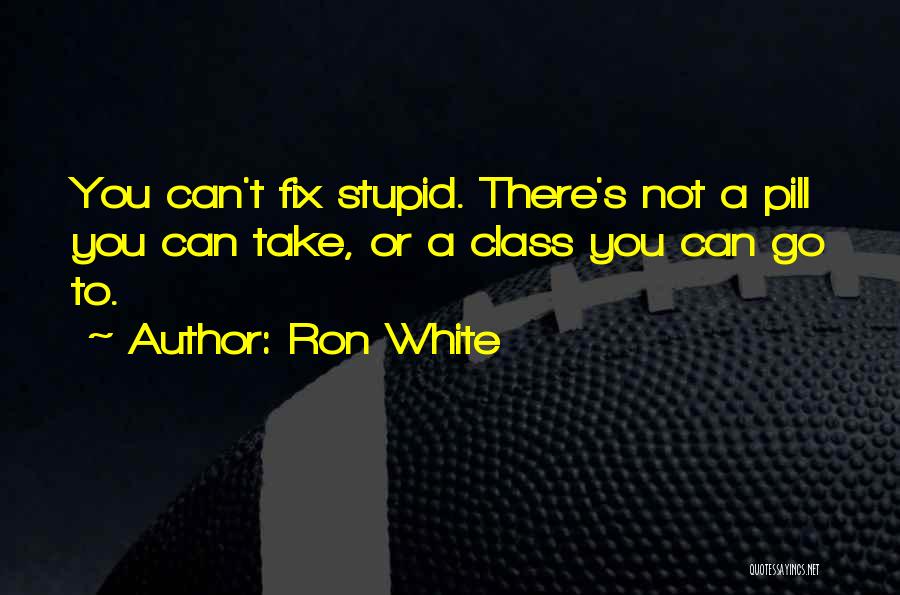 Can't Fix Stupid Quotes By Ron White