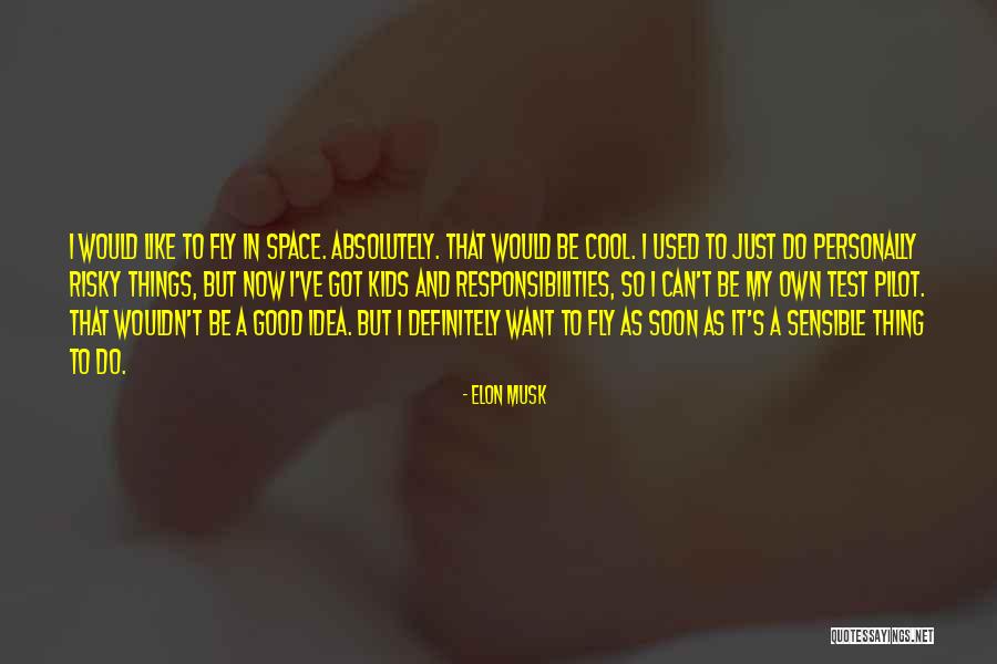Can't Fly Quotes By Elon Musk Can't Fly Quotes By Elon Musk