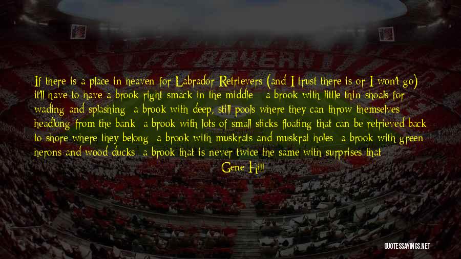 Can't Fly Quotes By Gene Hill Can't Fly Quotes By Gene Hill