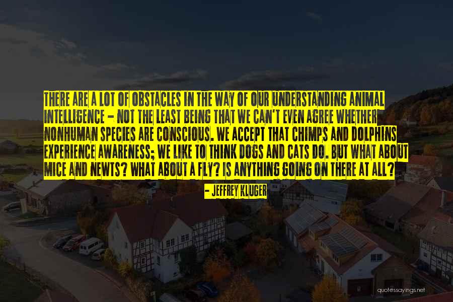 Can't Fly Quotes By Jeffrey Kluger Can't Fly Quotes By Jeffrey Kluger