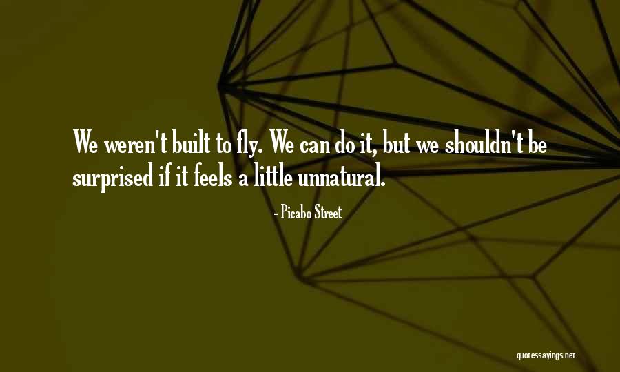 Can't Fly Quotes By Picabo Street Can't Fly Quotes By Picabo Street