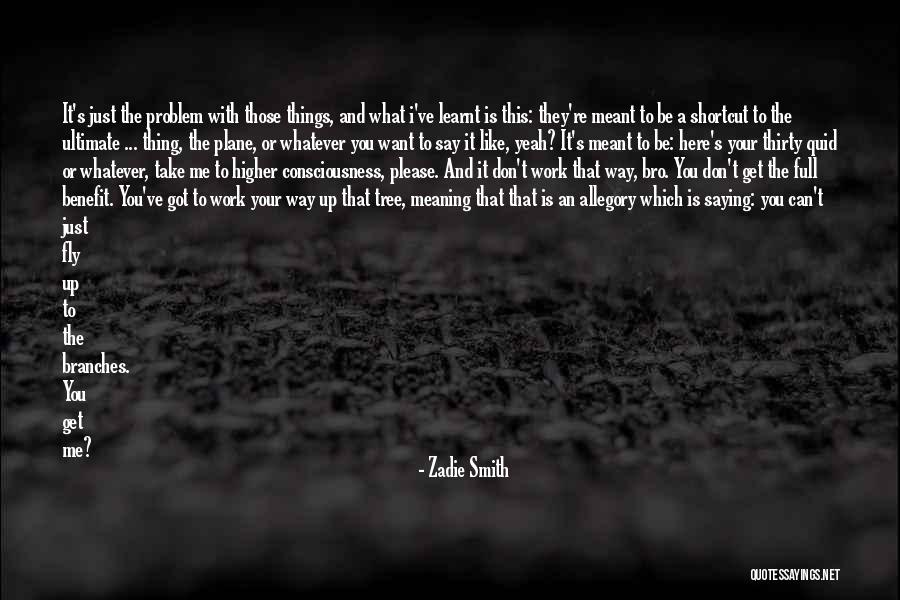 Can't Fly Quotes By Zadie Smith Can't Fly Quotes By Zadie Smith