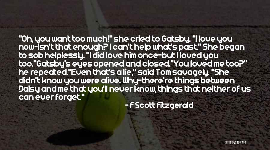 Can't Forget Him Quotes By F Scott Fitzgerald