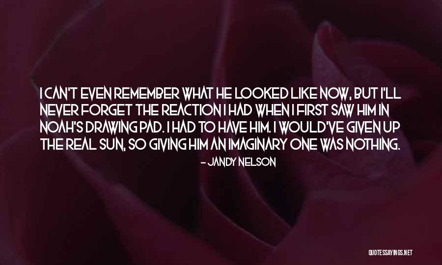 Can't Forget Him Quotes By Jandy Nelson Can't Forget Him Quotes By Jandy Nelson