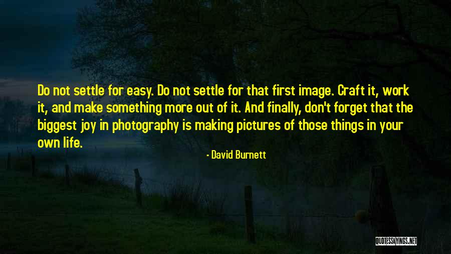 Cant Forget It Quotes By David Burnett