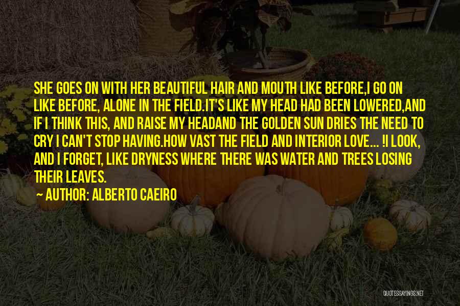Can't Forget Love Quotes By Alberto Caeiro