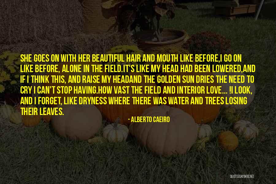 Can't Forget Love Quotes By Alberto Caeiro