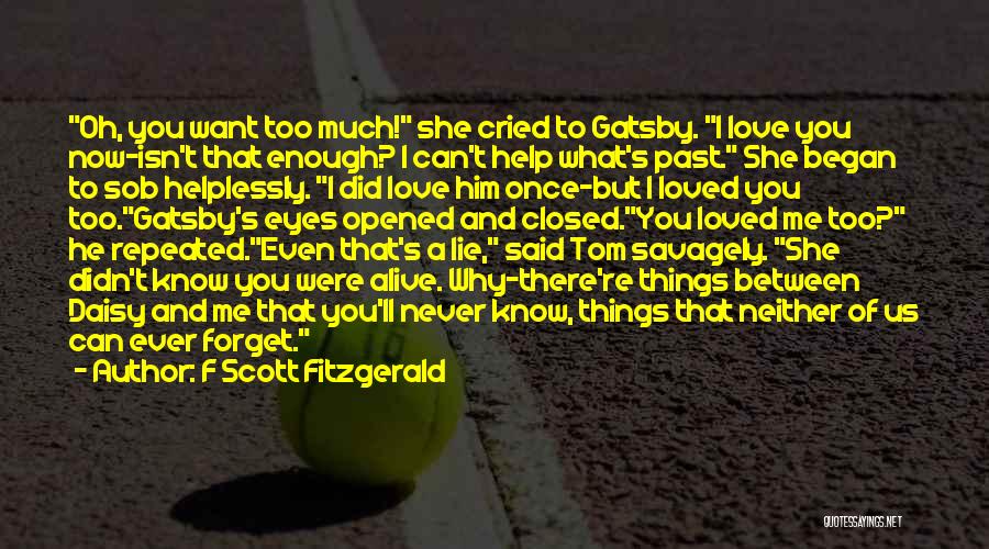 Can't Forget Love Quotes By F Scott Fitzgerald