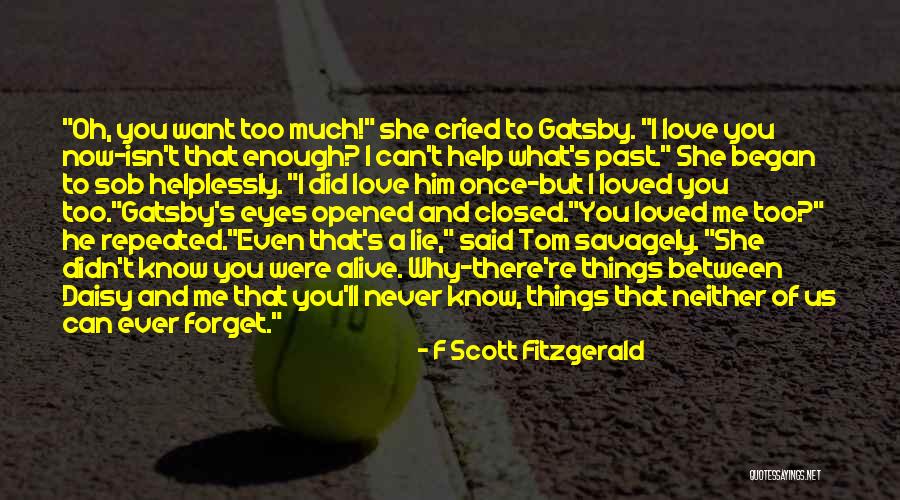 Can't Forget Love Quotes By F Scott Fitzgerald