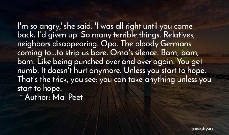 Can't Get Angry Quotes By Mal Peet