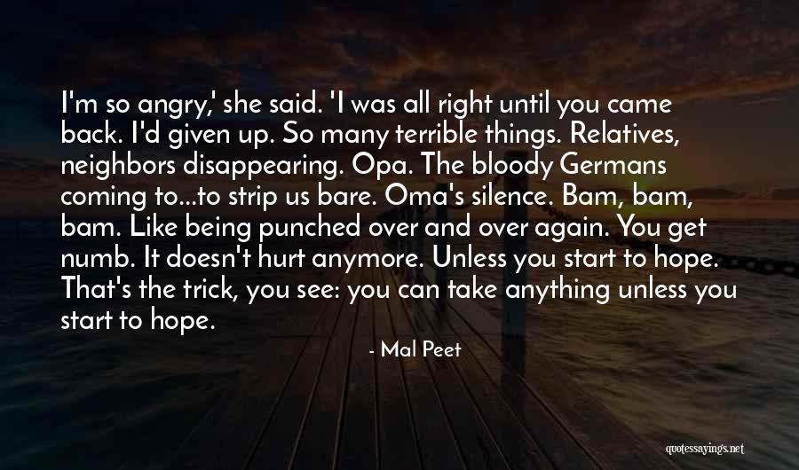 Can't Get Angry Quotes By Mal Peet