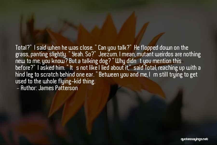 Can't Get Me Down Quotes By James Patterson