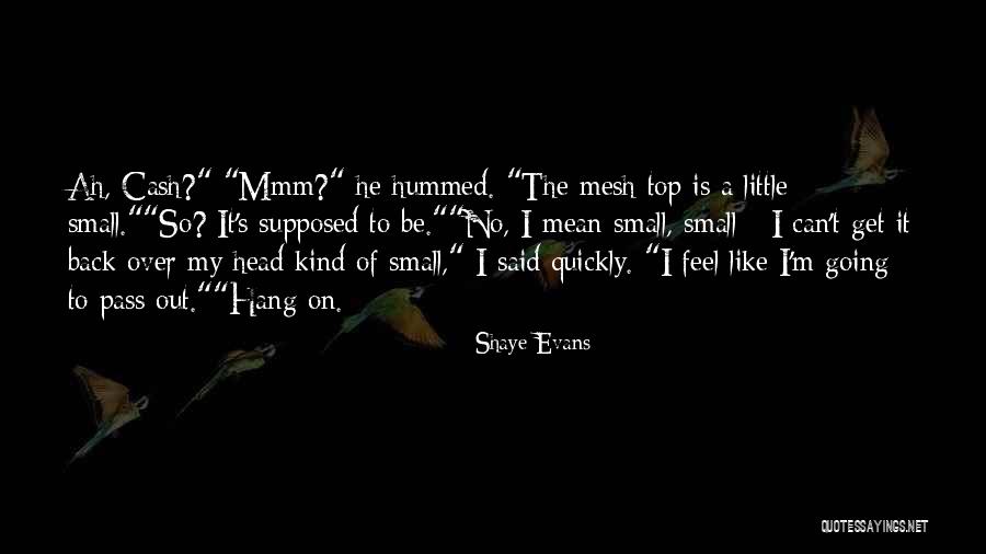 Can't Get Out Of My Head Quotes By Shaye Evans