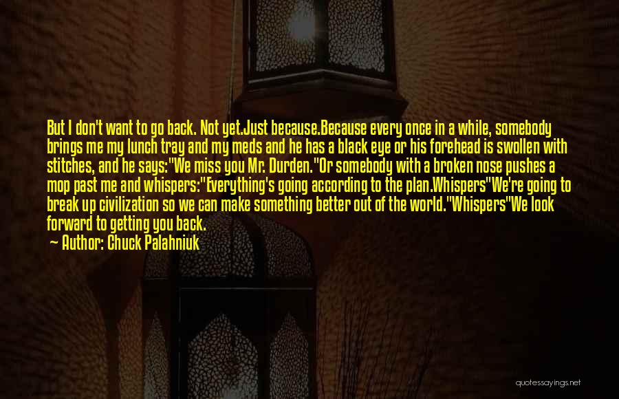 Can't Go Back To The Past Quotes By Chuck Palahniuk