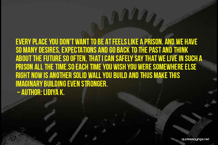 Can't Go Back To The Past Quotes By Lidiya K.