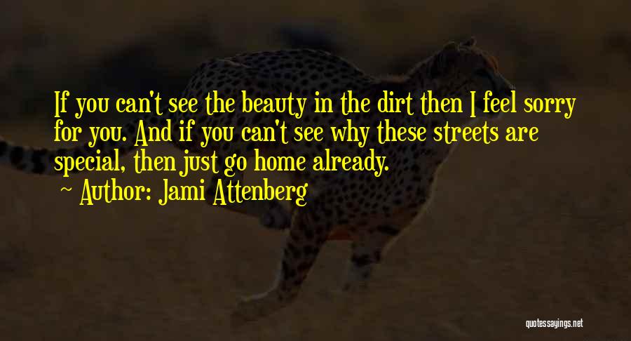 Can't Go Home Quotes By Jami Attenberg