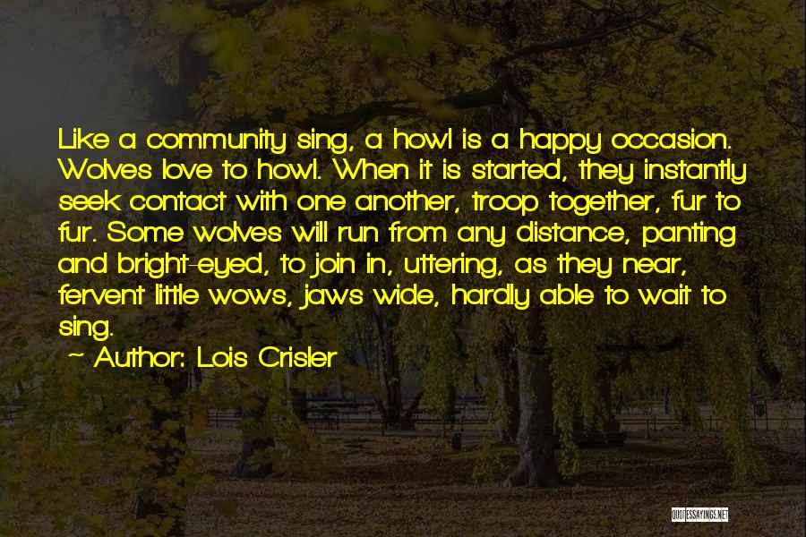 Can't Hardly Wait Love Quotes By Lois Crisler