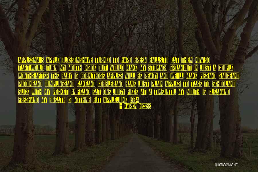 Cant Have Your Cake And Eat It Quotes By Karen Hesse Cant Have Your Cake And Eat It Quotes By Karen Hesse