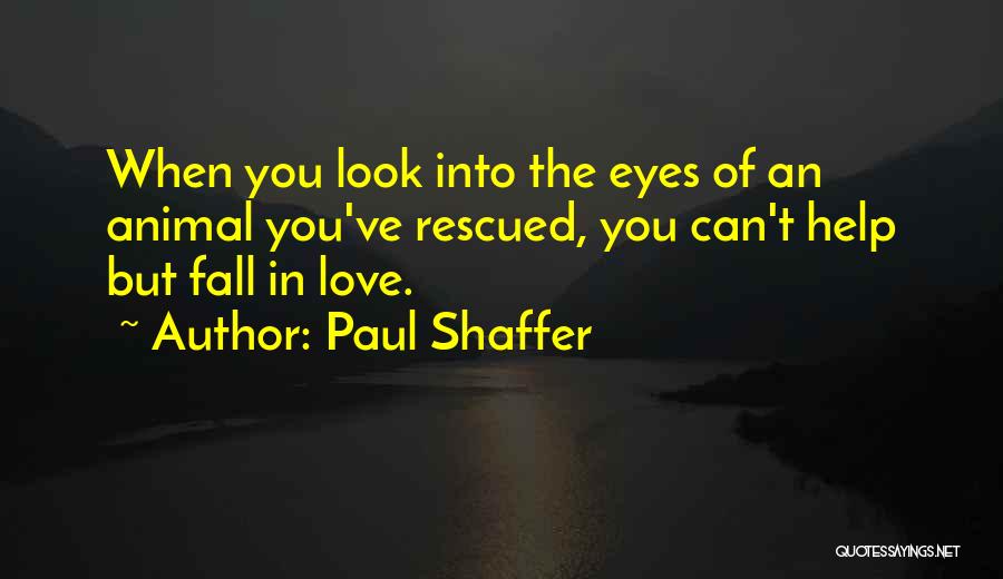 Can't Help You Love Quotes By Paul Shaffer