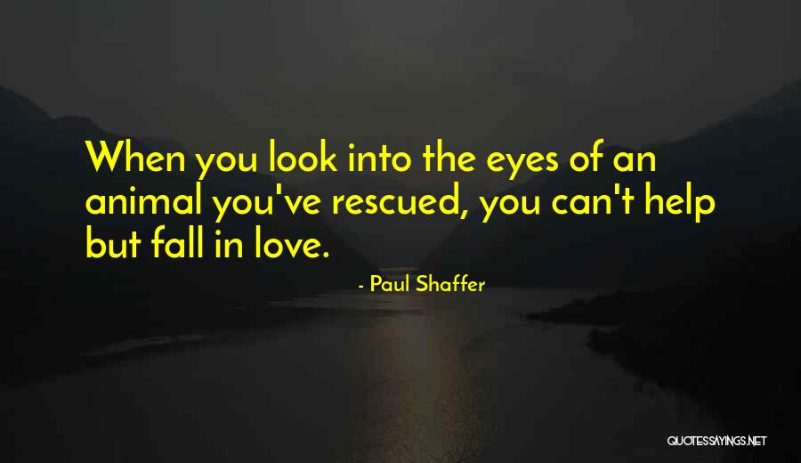 Can't Help You Love Quotes By Paul Shaffer