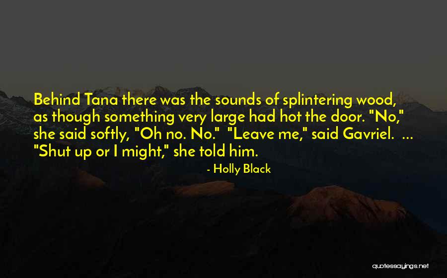 Can't Leave The Past Behind Quotes By Holly Black