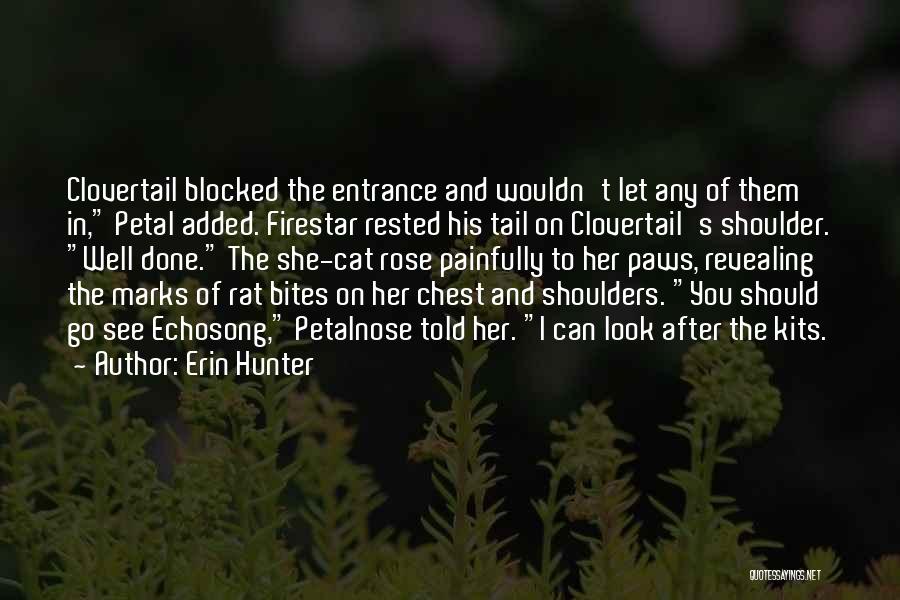 Can't Let You Go Quotes By Erin Hunter