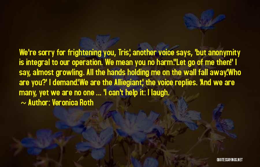 Can't Let You Go Quotes By Veronica Roth