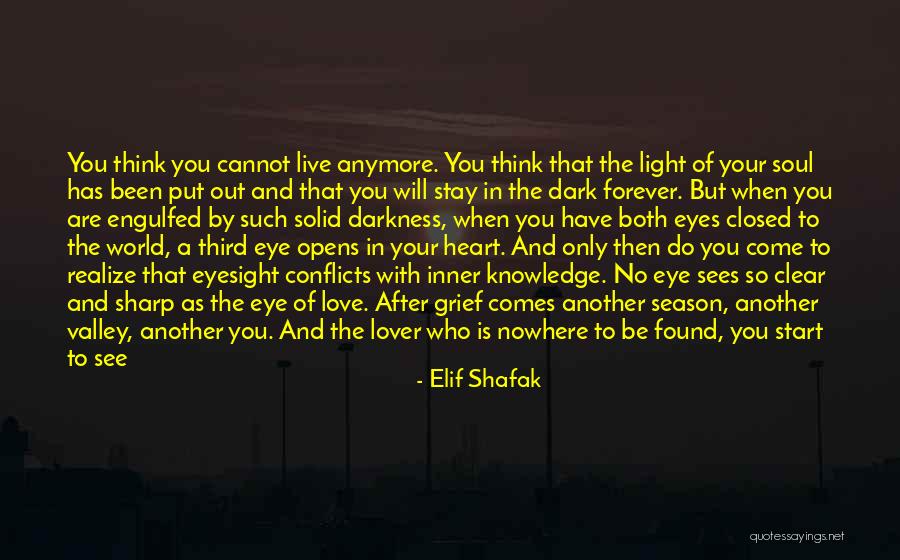 Can't Live Anymore Quotes By Elif Shafak