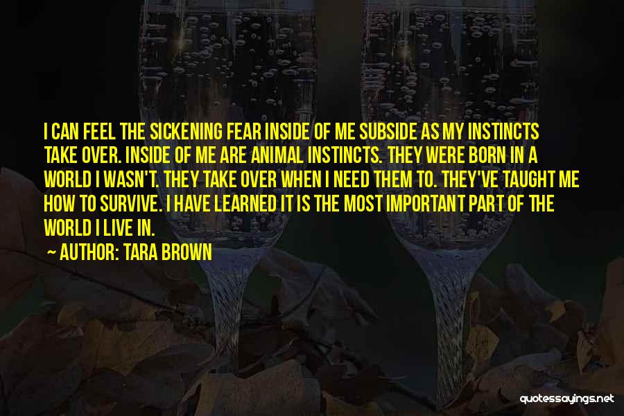 Can't Live In Fear Quotes By Tara Brown