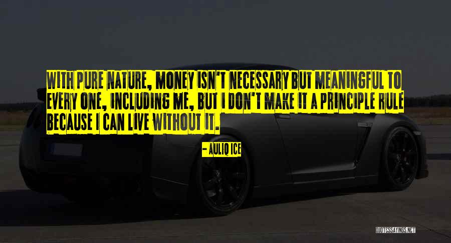Can't Live Without Money Quotes By Auliq Ice Can't Live Without Money Quotes By Auliq Ice