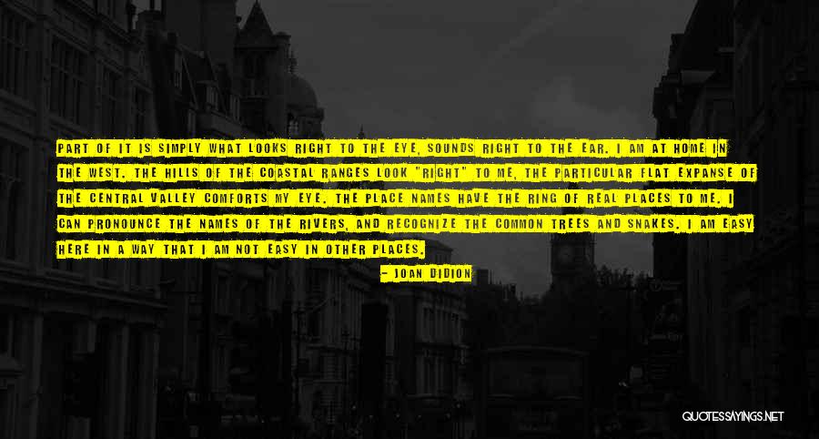 Can't Look Me In The Eye Quotes By Joan Didion Can't Look Me In The Eye Quotes By Joan Didion