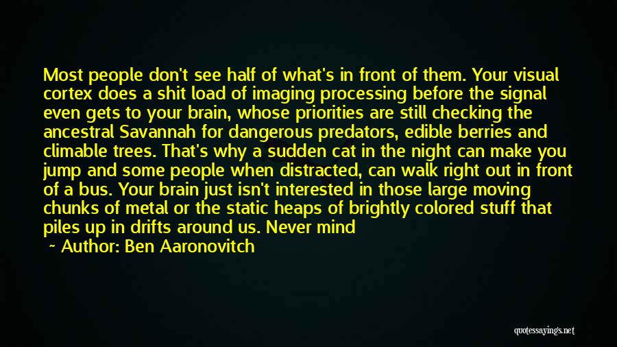 Can't Make Up Your Mind Quotes By Ben Aaronovitch