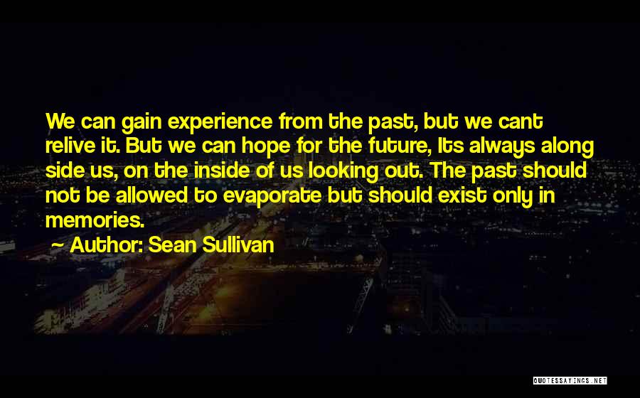 Can't Relive The Past Quotes By Sean Sullivan