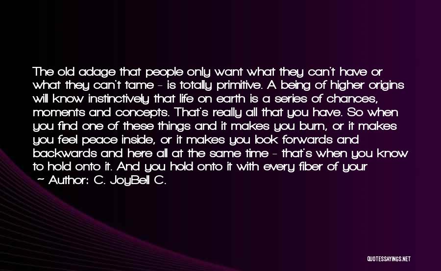 Can't Say How You Feel Quotes By C. JoyBell C.