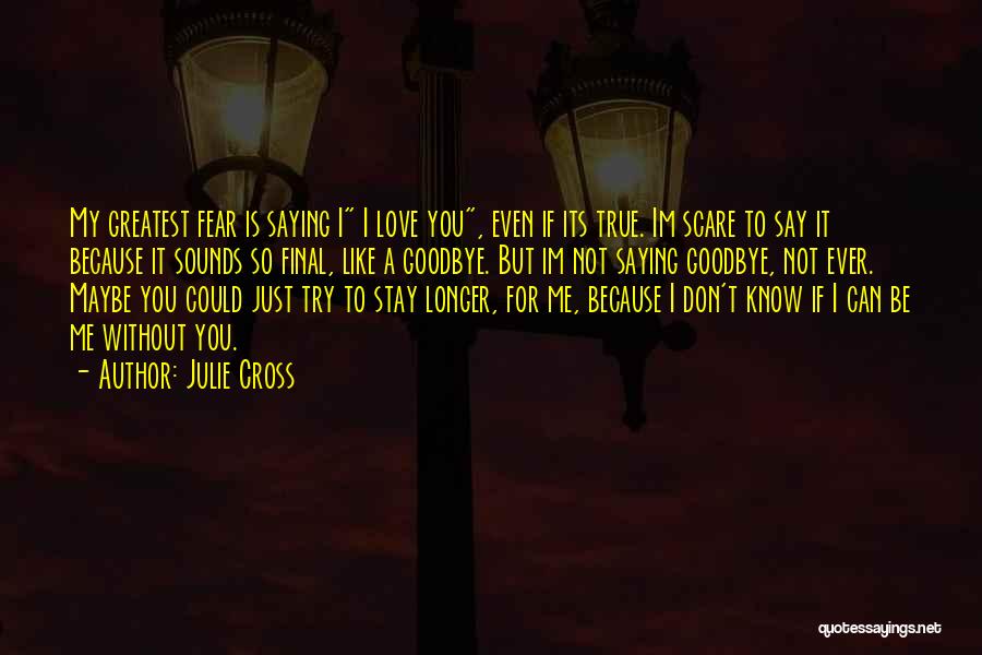 Can't Say Love You Quotes By Julie Cross