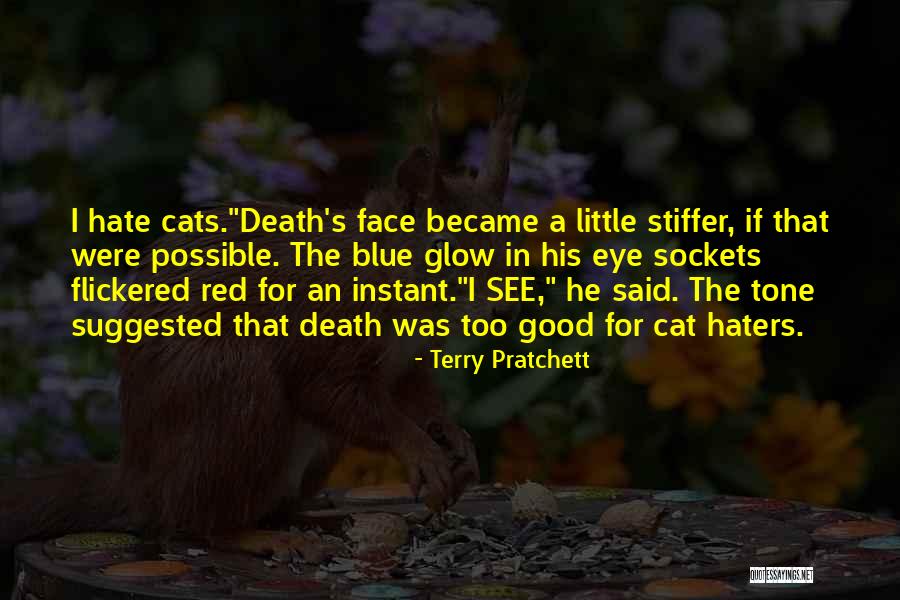 Can't See Haters Quotes By Terry Pratchett Can't See Haters Quotes By Terry Pratchett