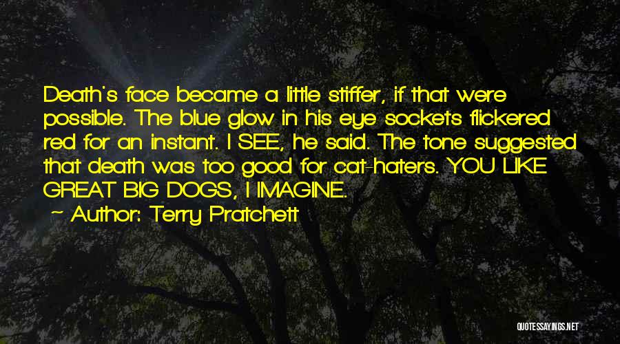 Can't See Haters Quotes By Terry Pratchett