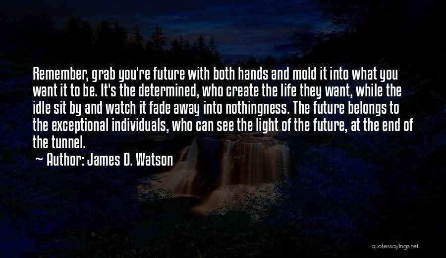 Can't See The Light At The End Of The Tunnel Quotes By James D. Watson