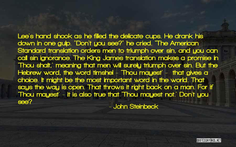 Can't See The Truth Quotes By John Steinbeck