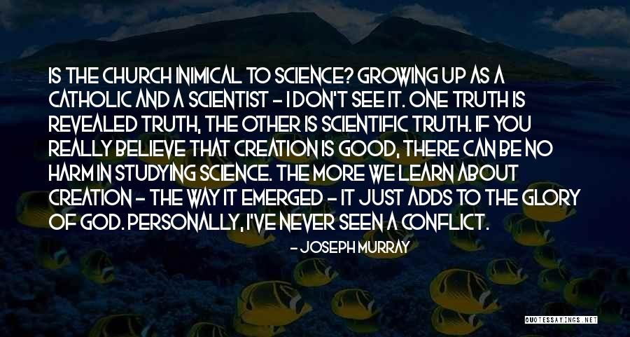 Can't See The Truth Quotes By Joseph Murray