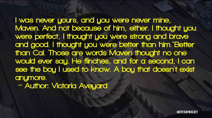 Can't See You Anymore Quotes By Victoria Aveyard