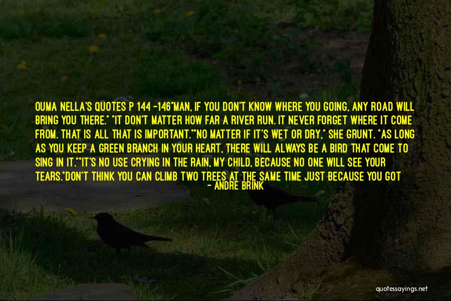 Can't See You Crying Quotes By Andre Brink Can't See You Crying Quotes By Andre Brink