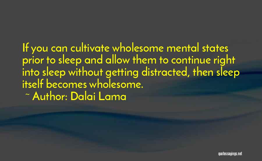 Can't Sleep Without You Quotes By Dalai Lama