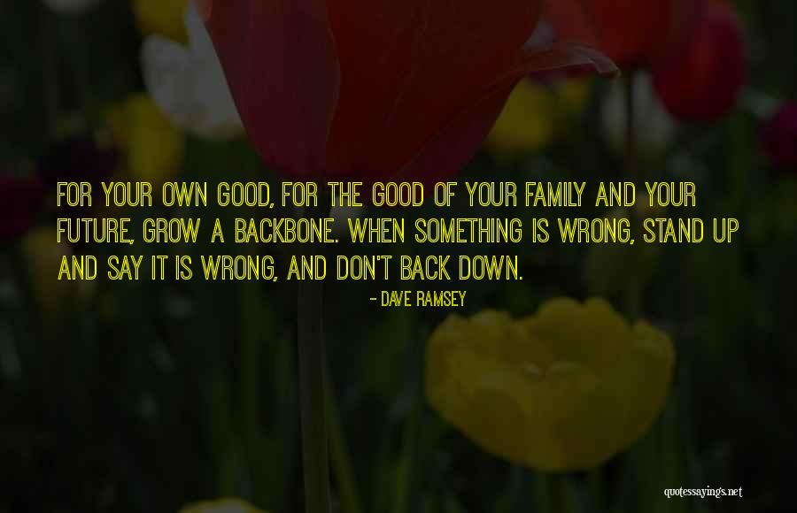 Can't Stand My Family Quotes By Dave Ramsey Can't Stand My Family Quotes By Dave Ramsey
