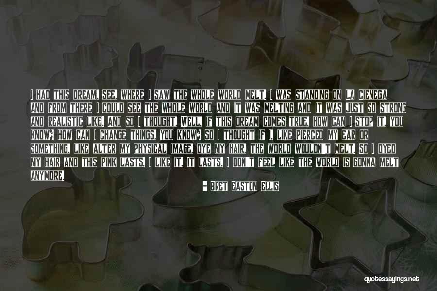 Can't Stop Change Quotes By Bret Easton Ellis Can't Stop Change Quotes By Bret Easton Ellis