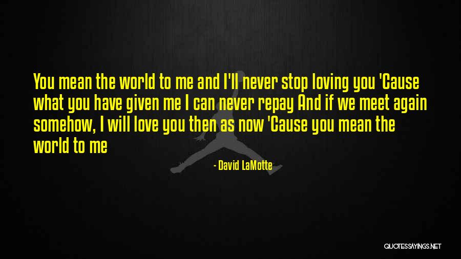 Can't Stop Loving Quotes By David LaMotte