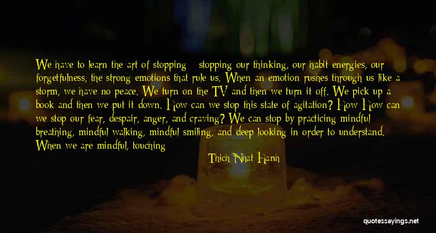 Can't Stop Smiling Quotes By Thich Nhat Hanh