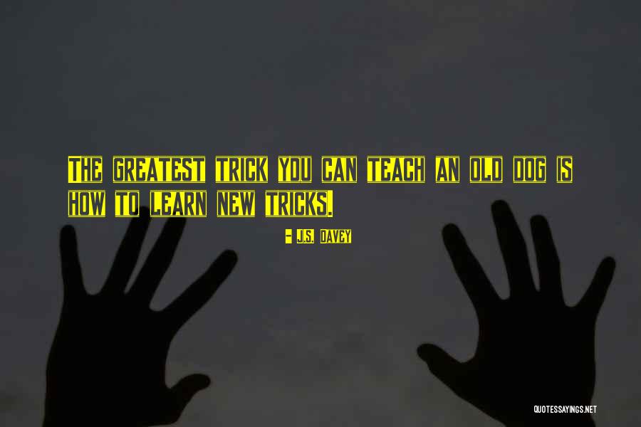 Cant Teach An Old Dog New Tricks Quotes By J.S. Davey Cant Teach An Old Dog New Tricks Quotes By J.S. Davey