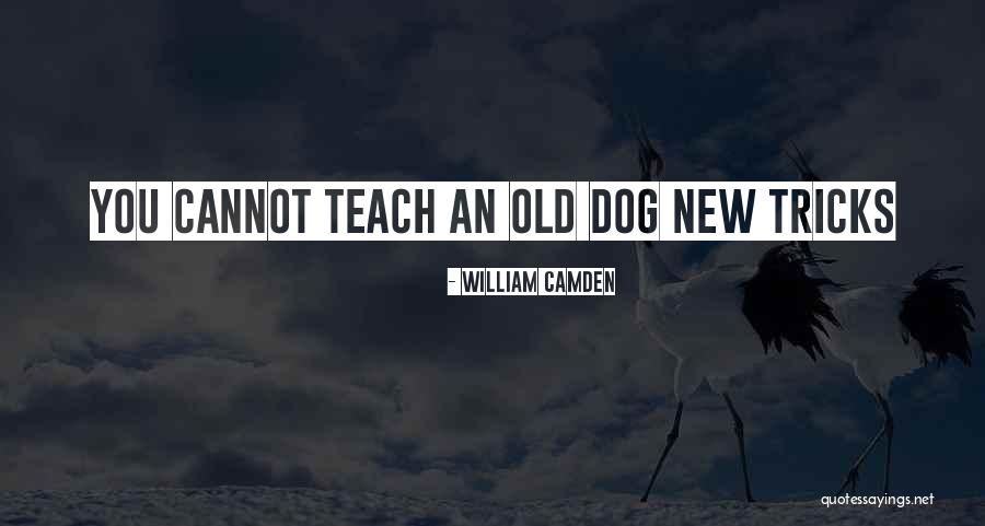 Cant Teach An Old Dog New Tricks Quotes By William Camden Cant Teach An Old Dog New Tricks Quotes By William Camden